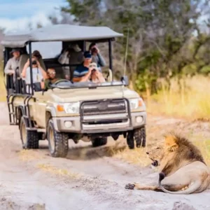 TourRadar sortea un viaje a Sudáfrica