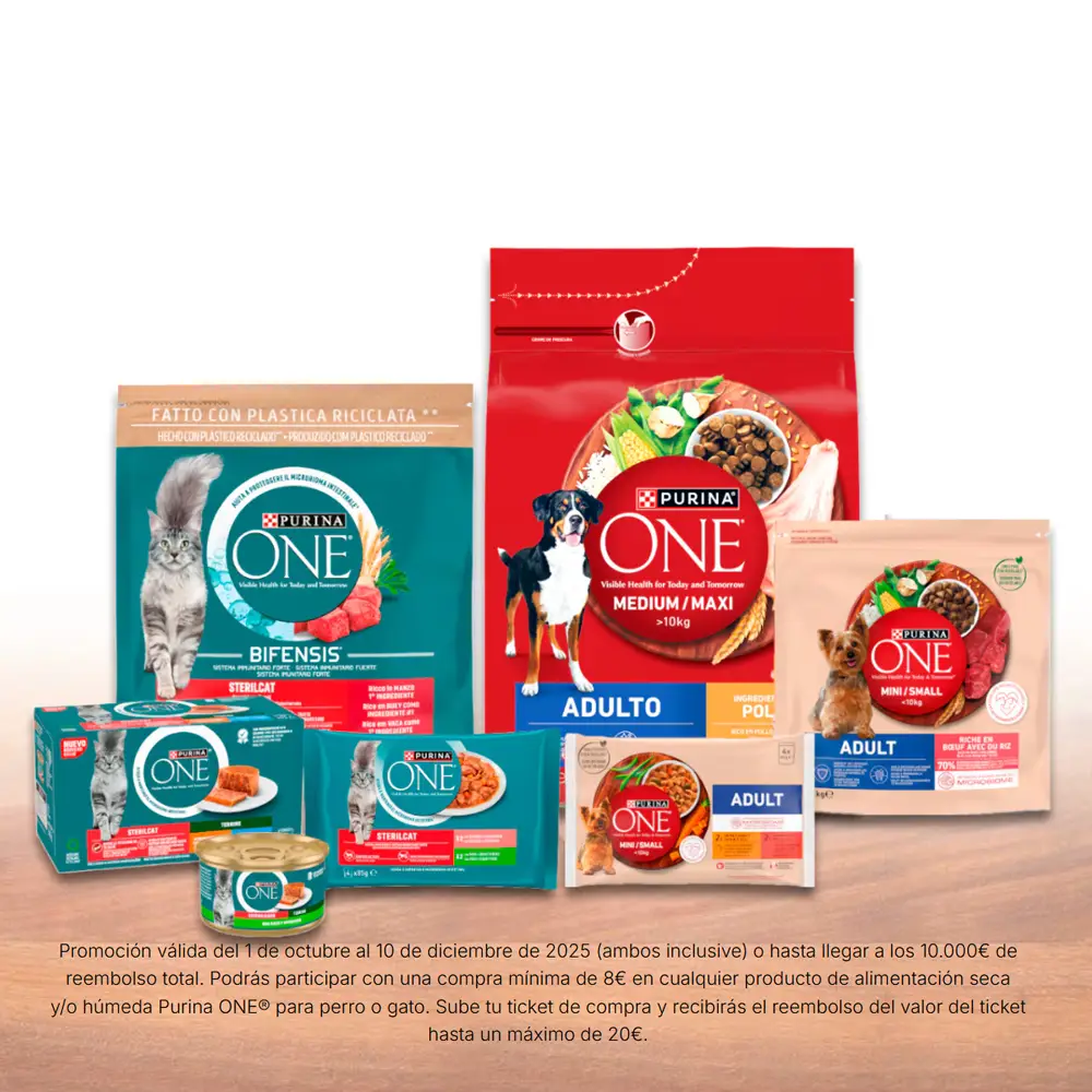 Entradas para la Madrid Fashion Week 2025